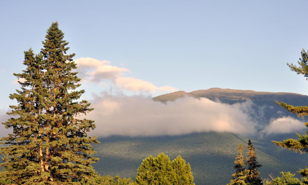 Mount Jefferson View Motel Randolph Dış mekan fotoğraf